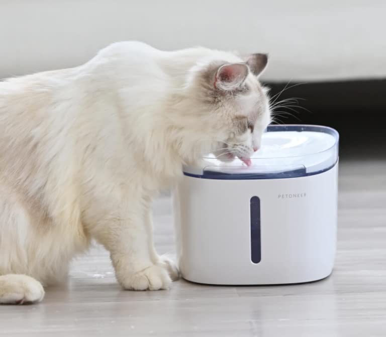 Automatic Pet Water Fountain with Water Level Window