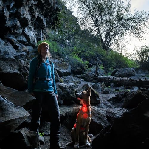 Ruffwear, Beacon Safety Light for Dogs, Rechargeable, Clear Lake