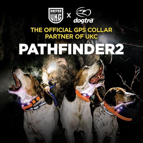 GPS Pet Tracker Collar with App Control