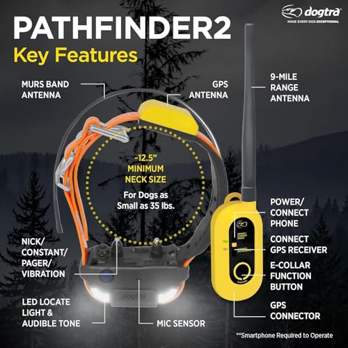 GPS Pet Tracker Collar with App Control