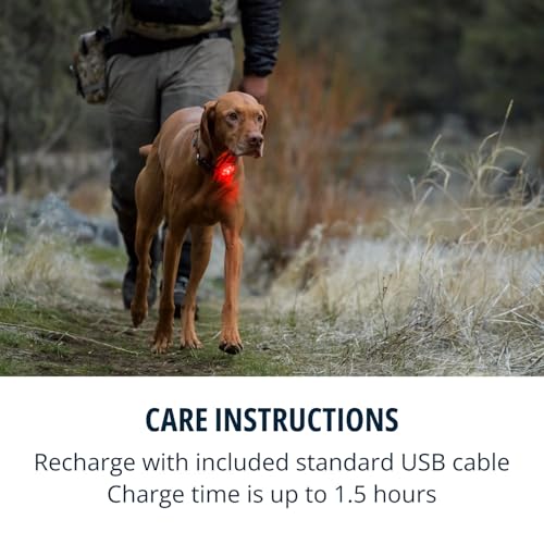 Ruffwear, Beacon Safety Light for Dogs, Rechargeable, Clear Lake