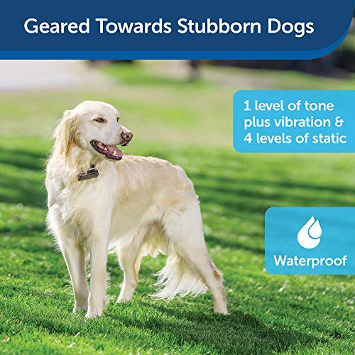 PetSafe Stubborn Dog In-Ground Fence, Without Wire