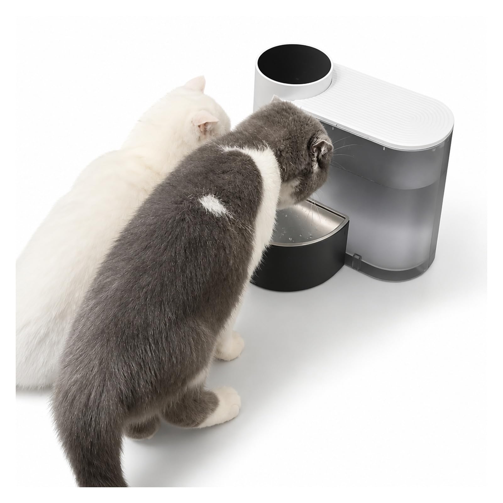 Pet Drinking Fountain, Pet Water Dispenser