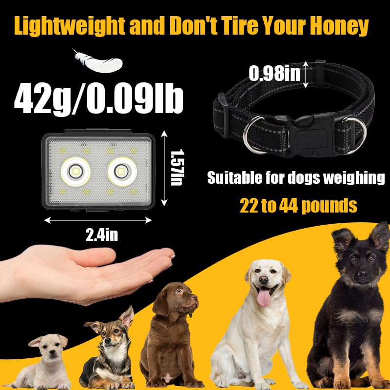 SUPPENGUIN, Rechargeable Dog Collar Lights