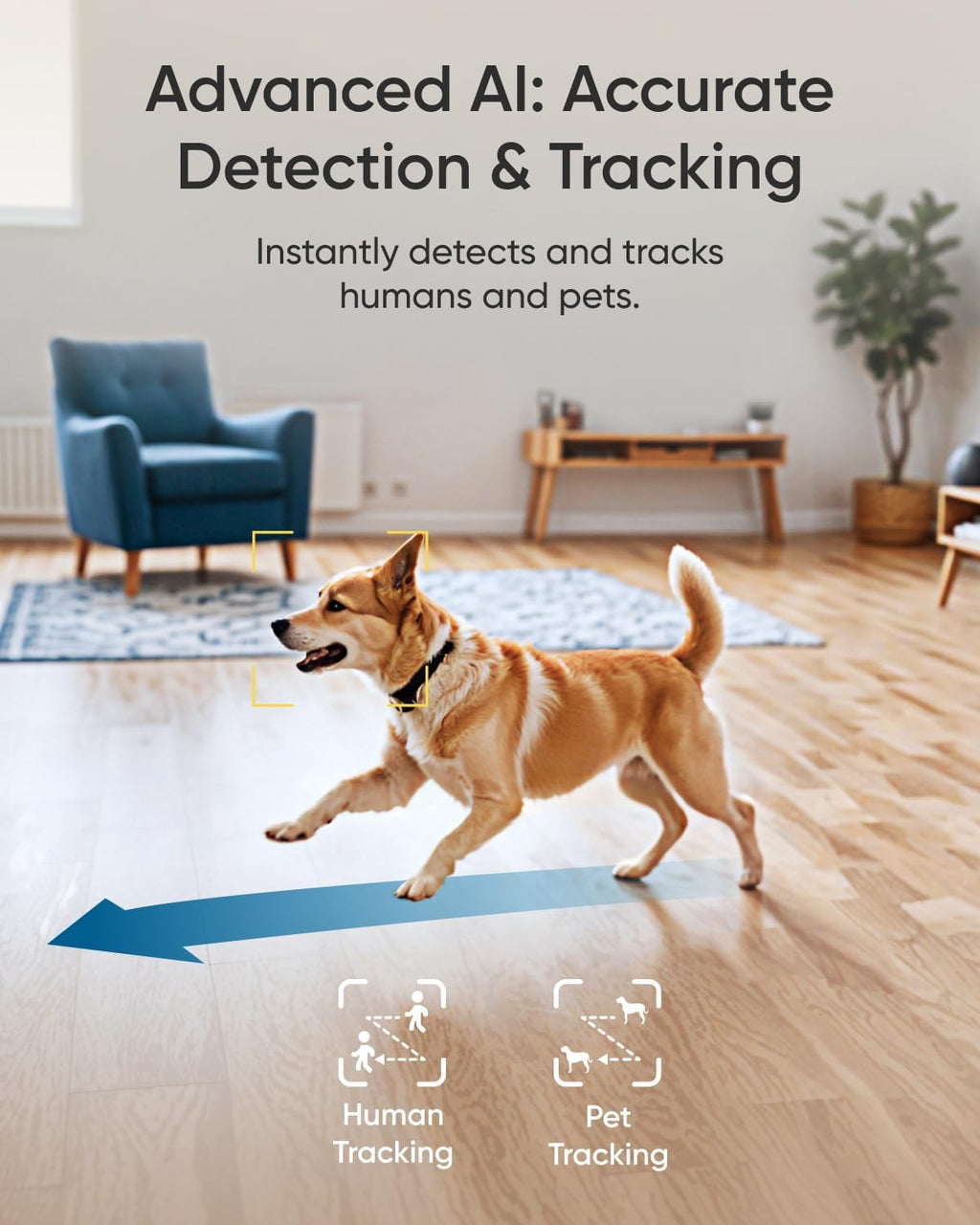 eufy Security 4K Indoor Camera E30*3 & Smart Display E10 (Bundle)