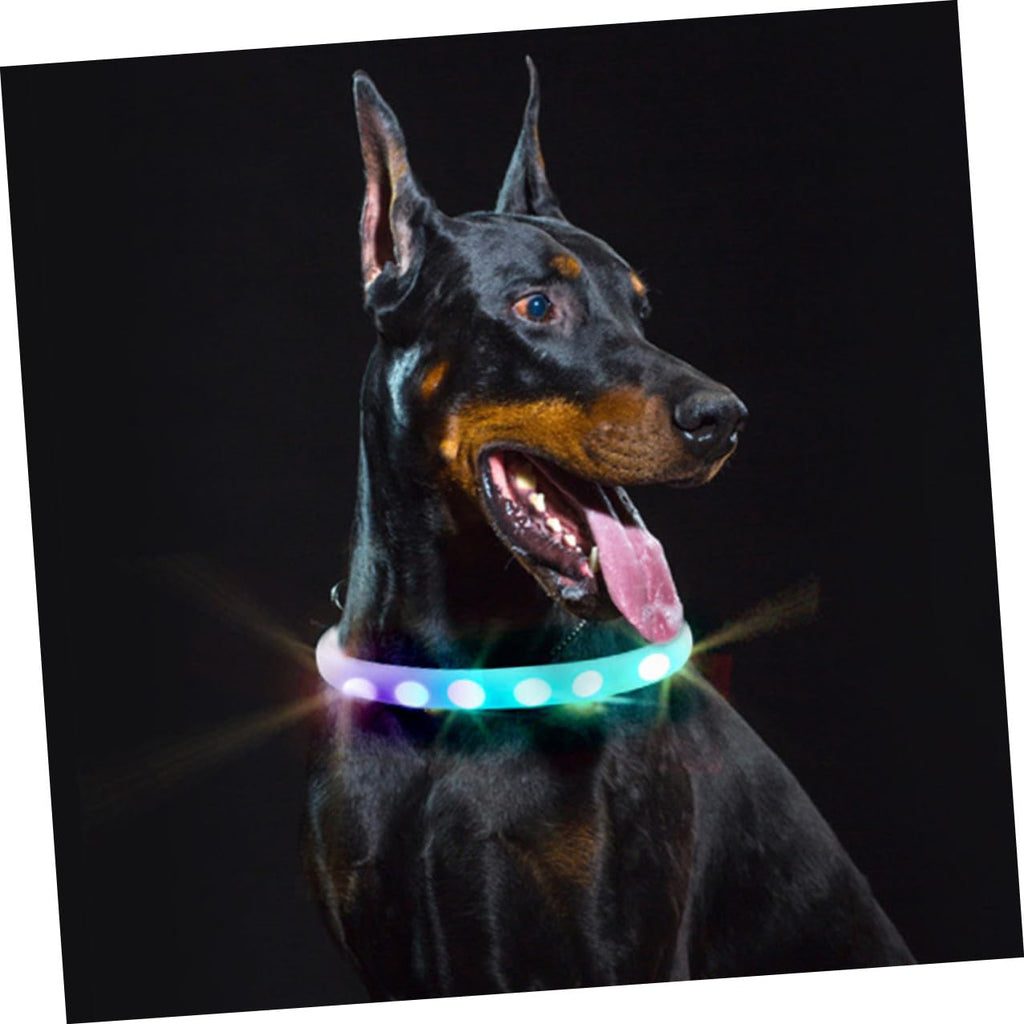 Rechargeable LED Pet Safety Collar