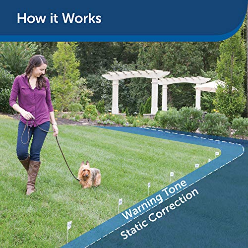 PetSafe Stubborn Dog In-Ground Fence, Without Wire