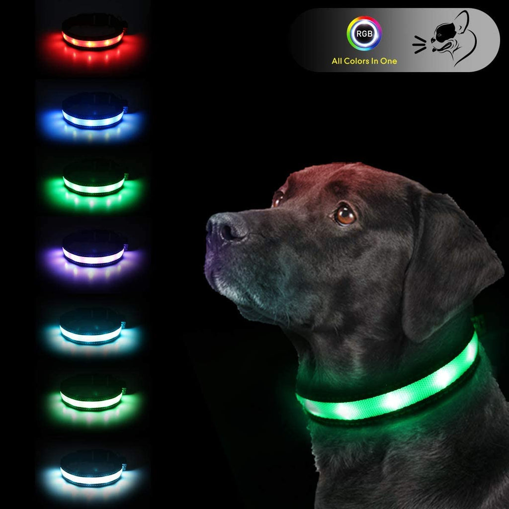 Rechargeable LED Dog Collar & 6FT Leash Set