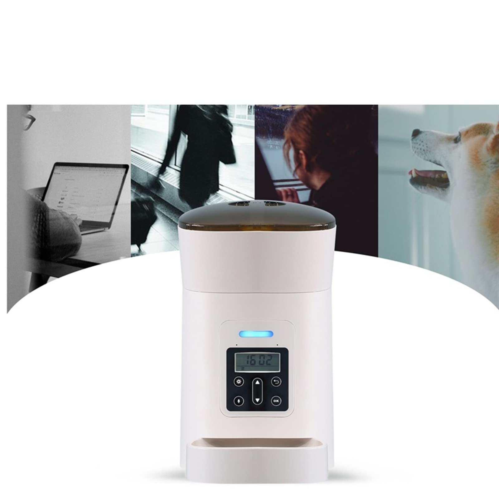 Smart Automatic Pet Feeder with Timed Portion Control