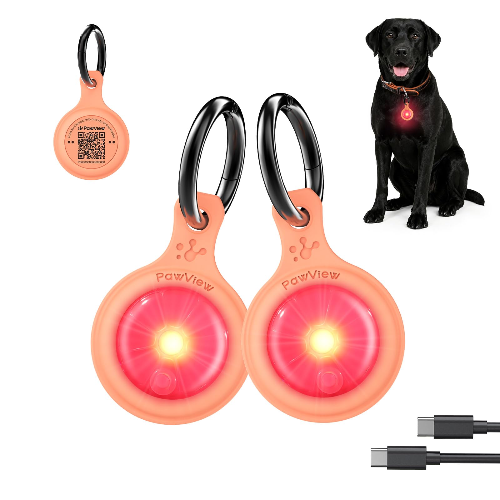 PawView LT0012