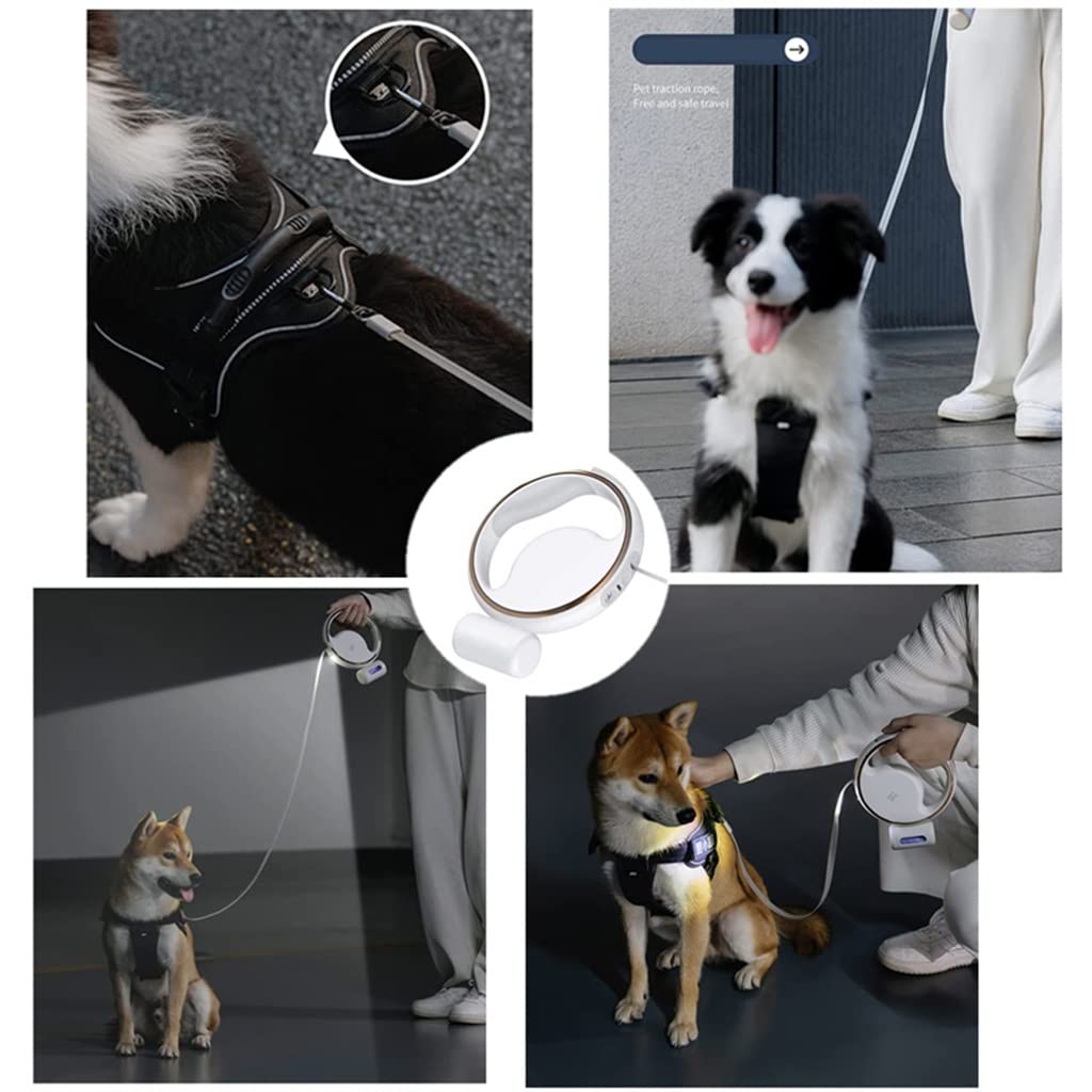 Retractable Dog Leash with Waste Bag Holder