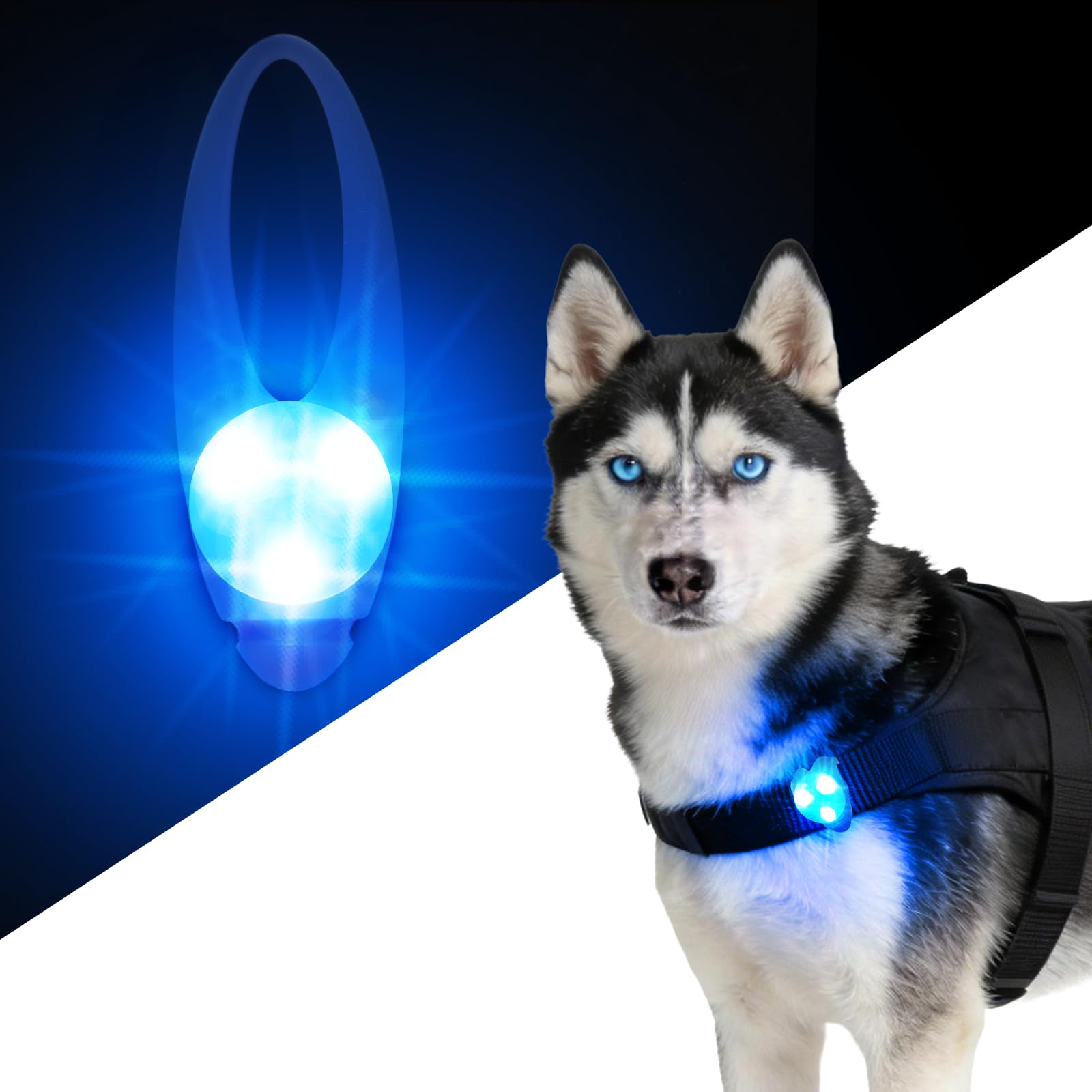 Waterproof LED Pet Safety Light with Collar Clip