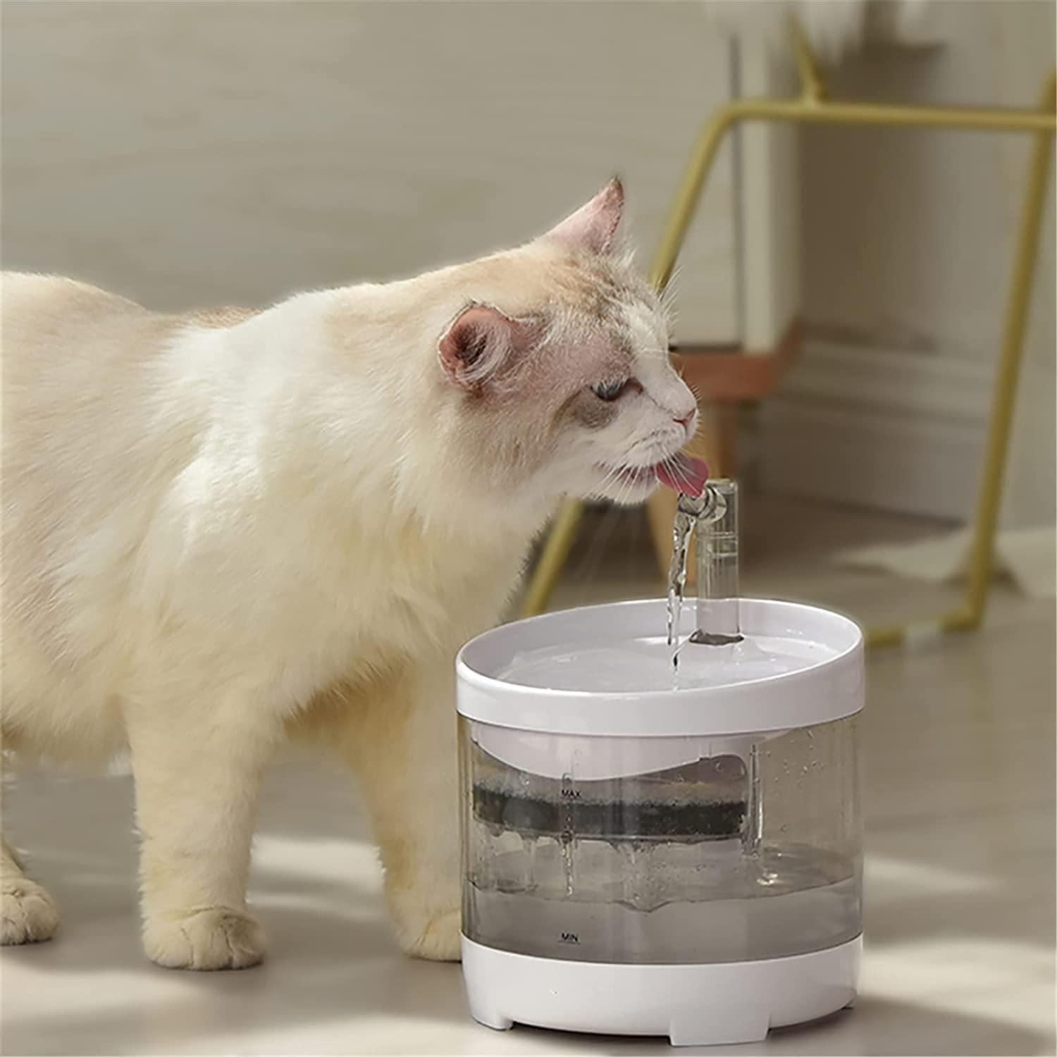 1.6L Automatic Pet Water Fountain with Faucet Kit
