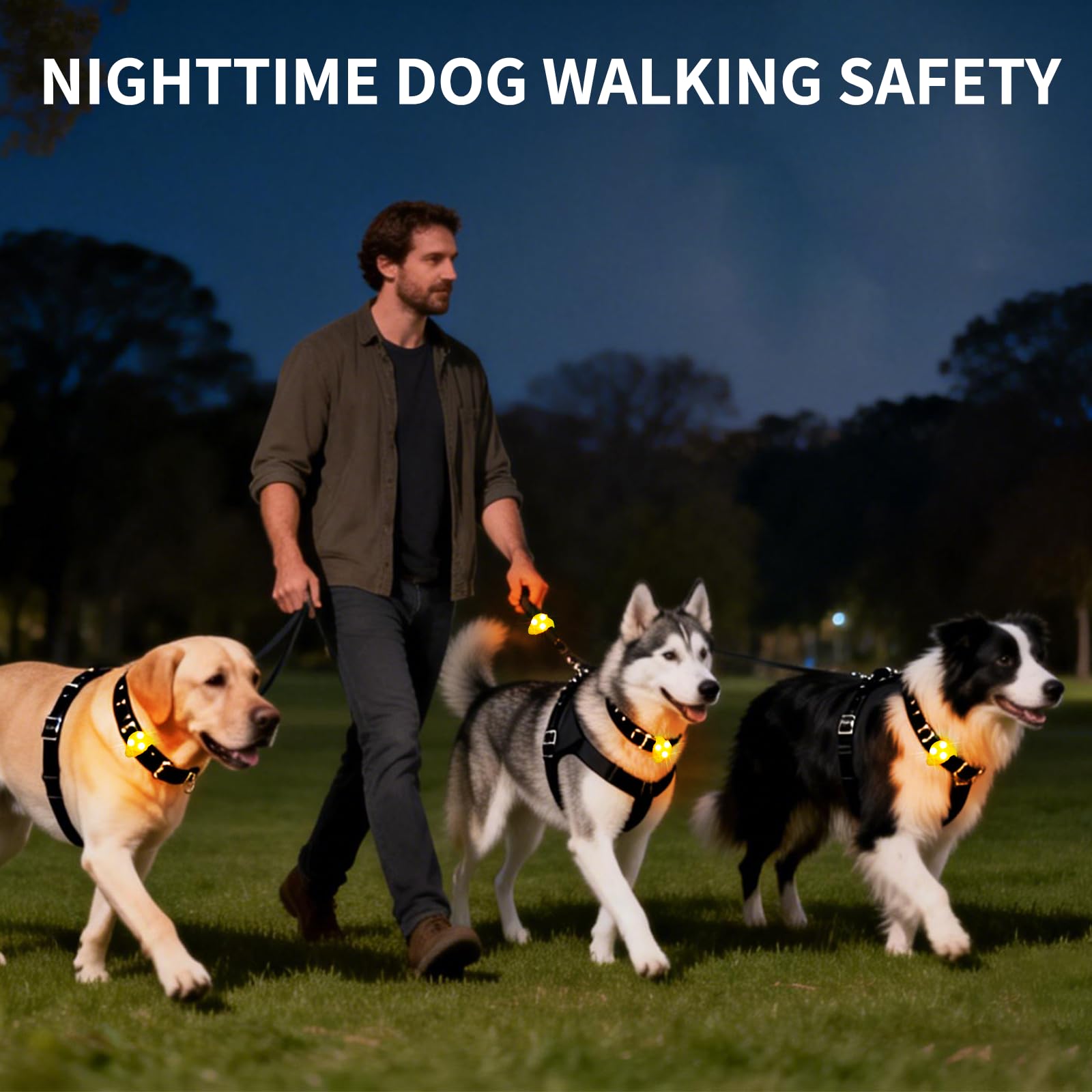 Waterproof LED Pet Safety Light with Collar Clip