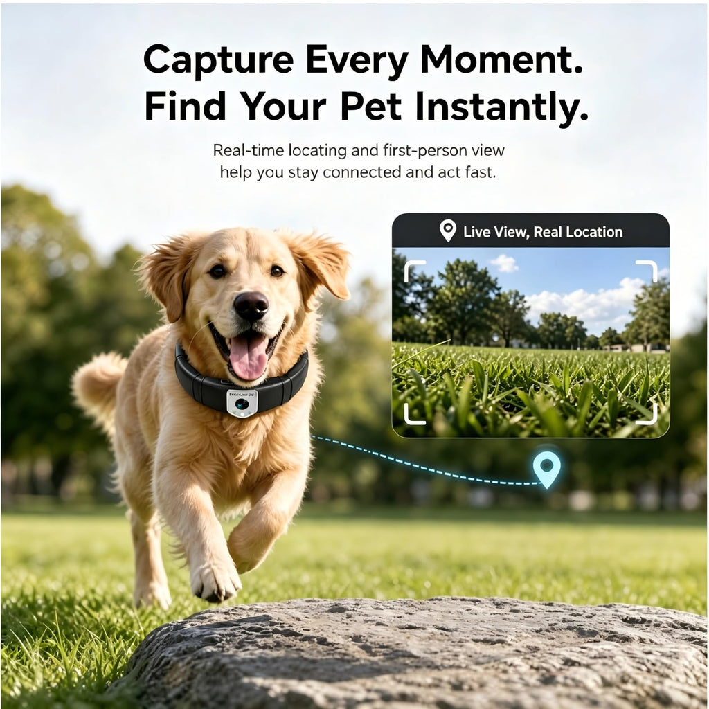 Wireless GPS Pet Collar with Camera