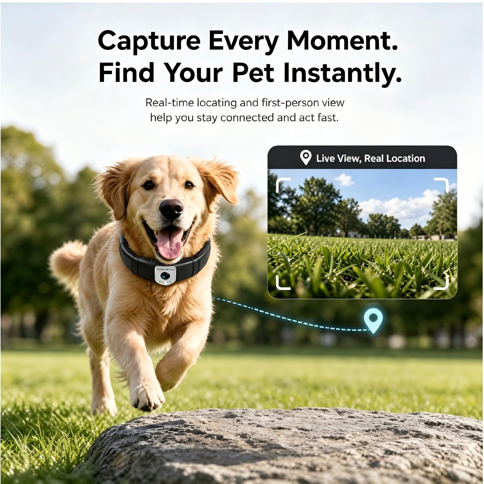 Wireless GPS Pet Collar with Camera