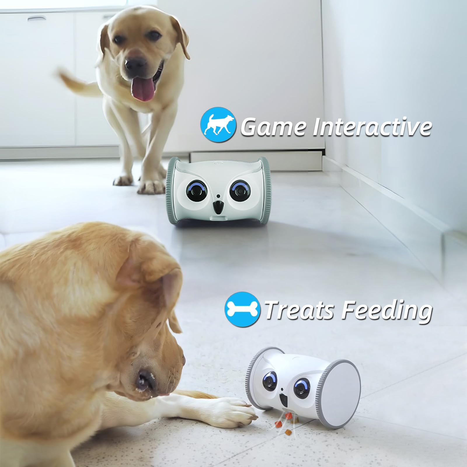 1080p Pet Camera Robot with Treat Dispenser & Two-Way Audio