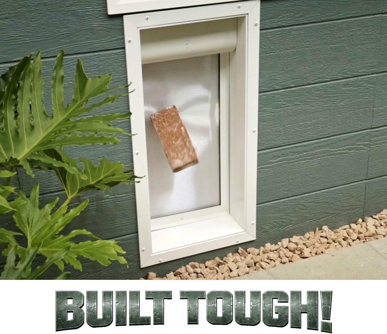 Smart Automatic Pet Door with App Control & Entry Timers