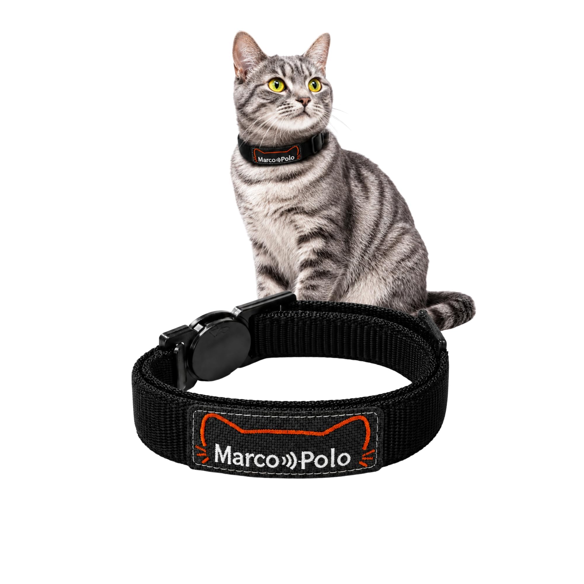 Lightweight RF Cat Tracker Collar