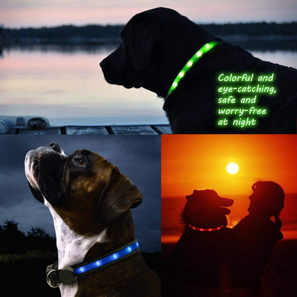 Rechargeable LED Dog Collar & 6FT Leash Set