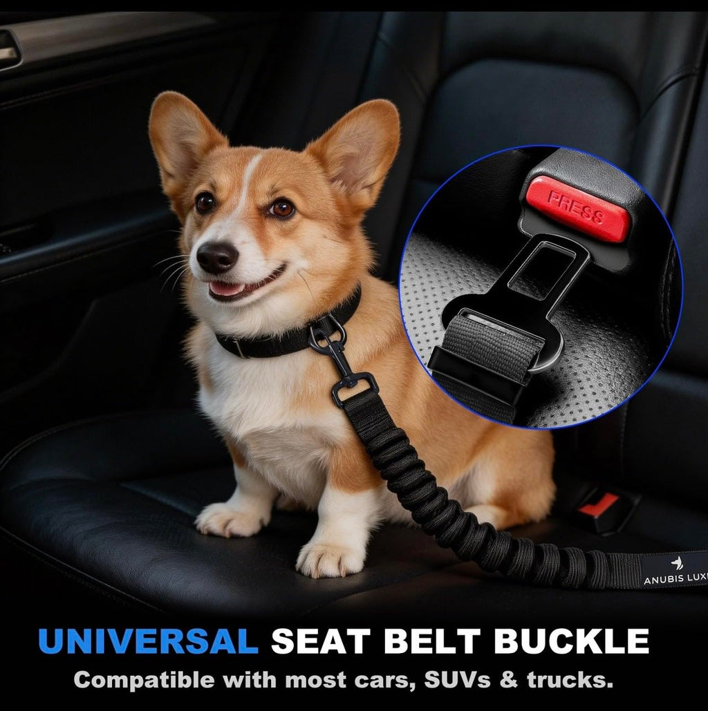 Retractable Dog Seat Belt with Elastic Safety Tether