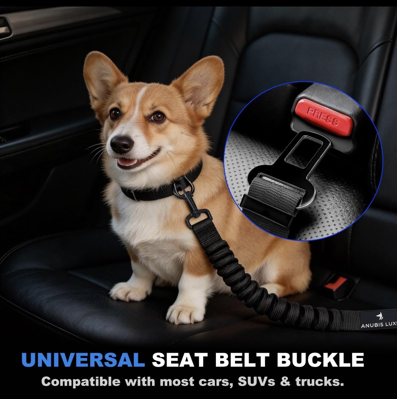 Retractable Dog Seat Belt with Elastic Safety Tether
