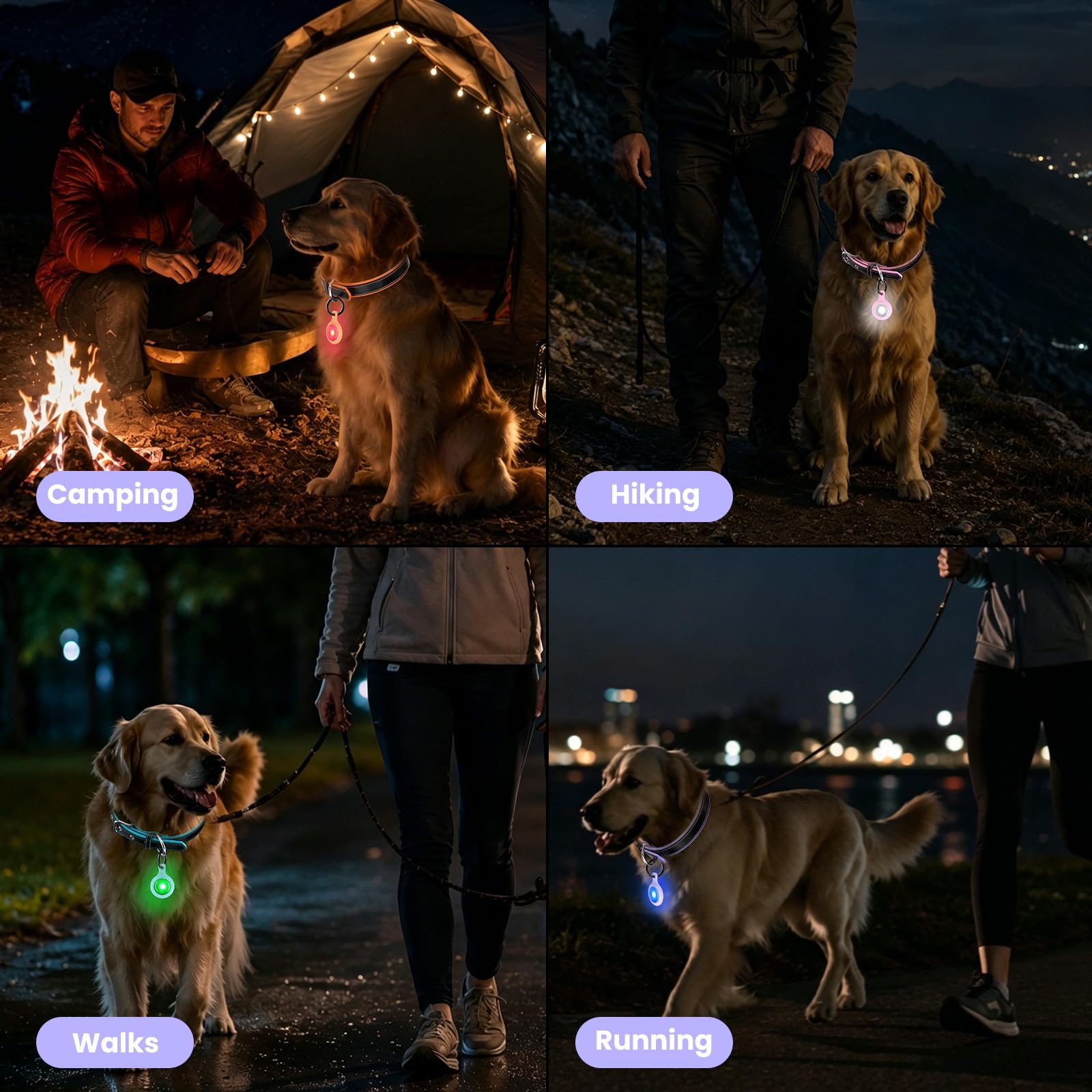 PawView LT0012