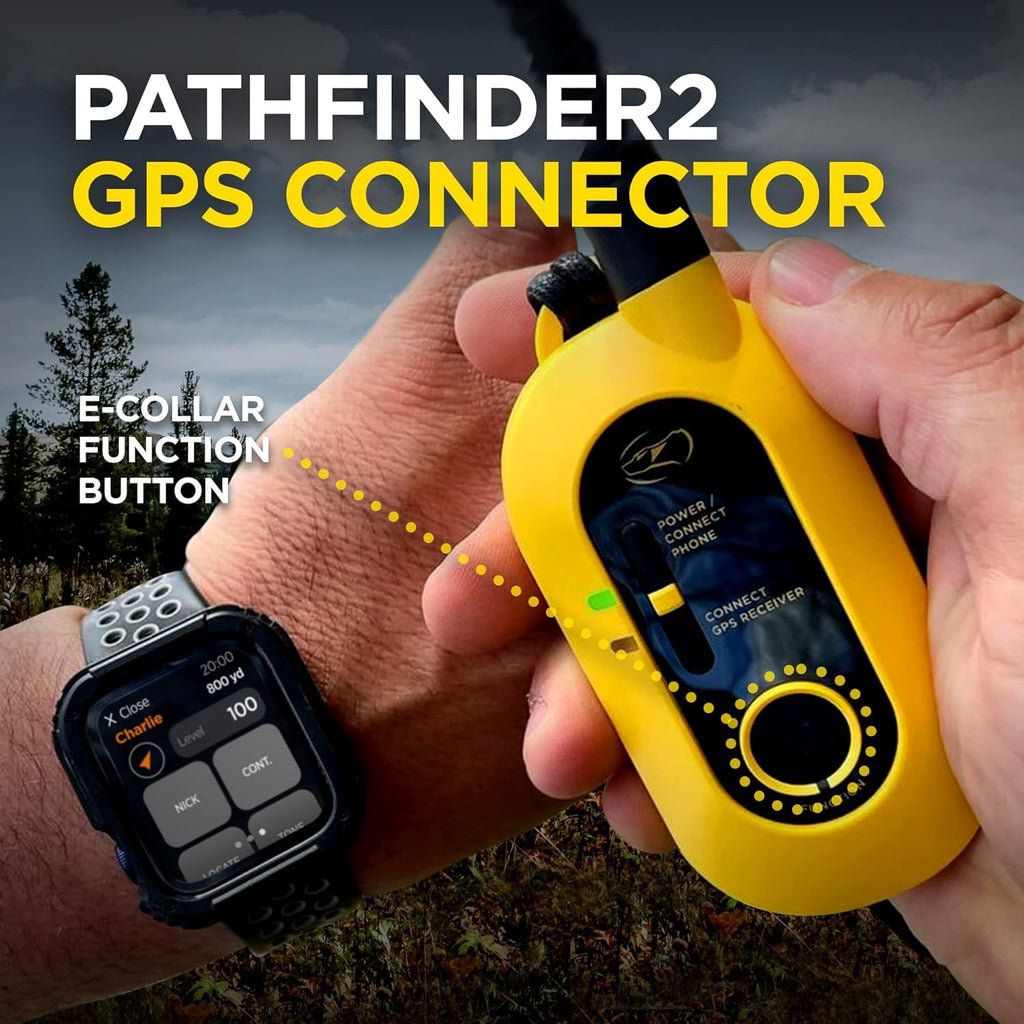 GPS Pet Tracker Collar with App Control