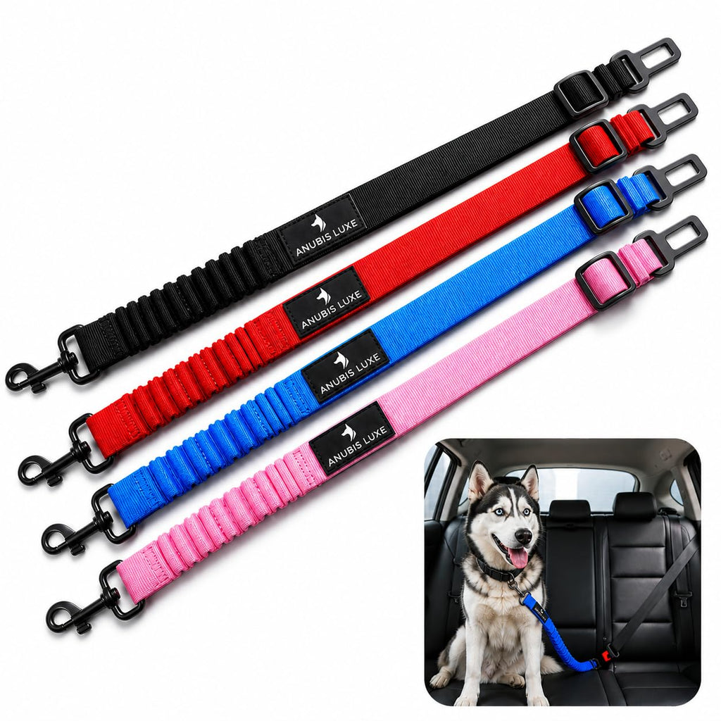 Retractable Dog Seat Belt with Elastic Safety Tether