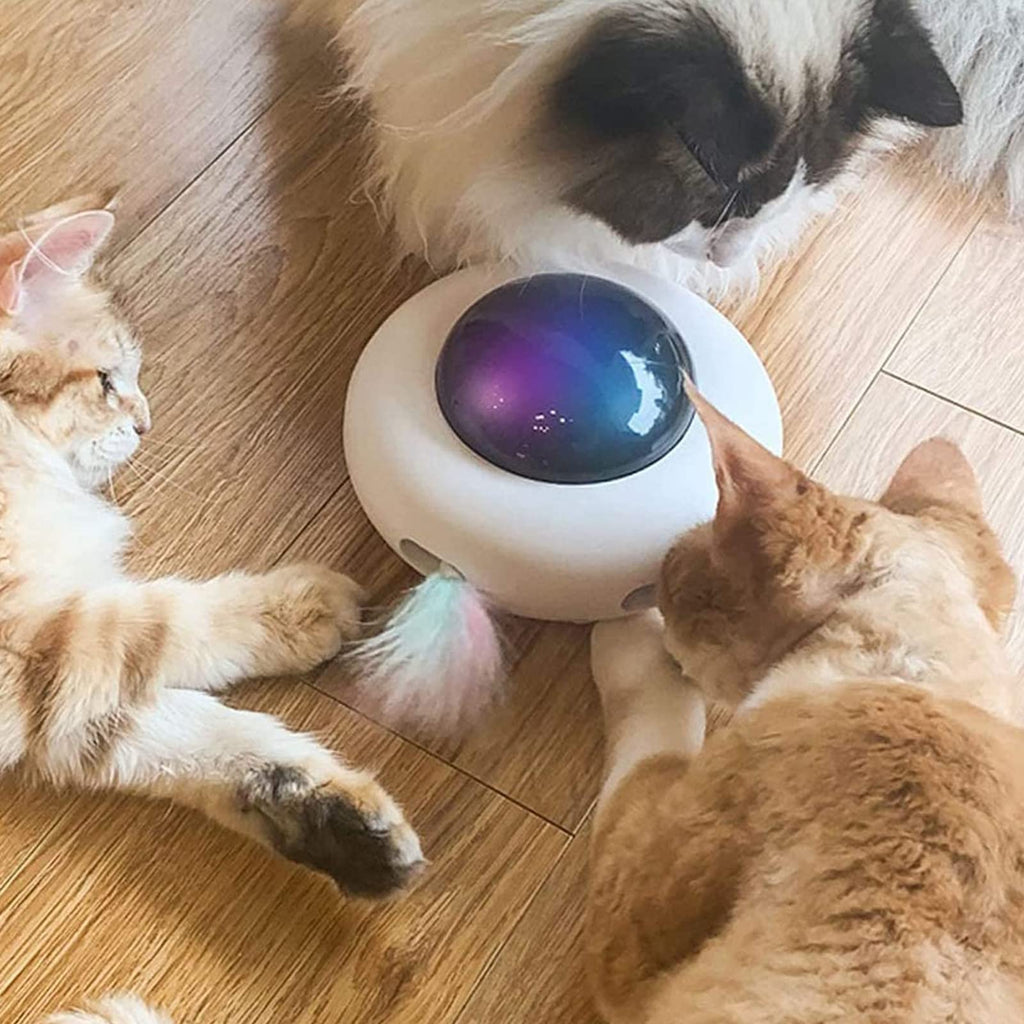 Rechargeable Interactive Rotating Feather Cat Toy