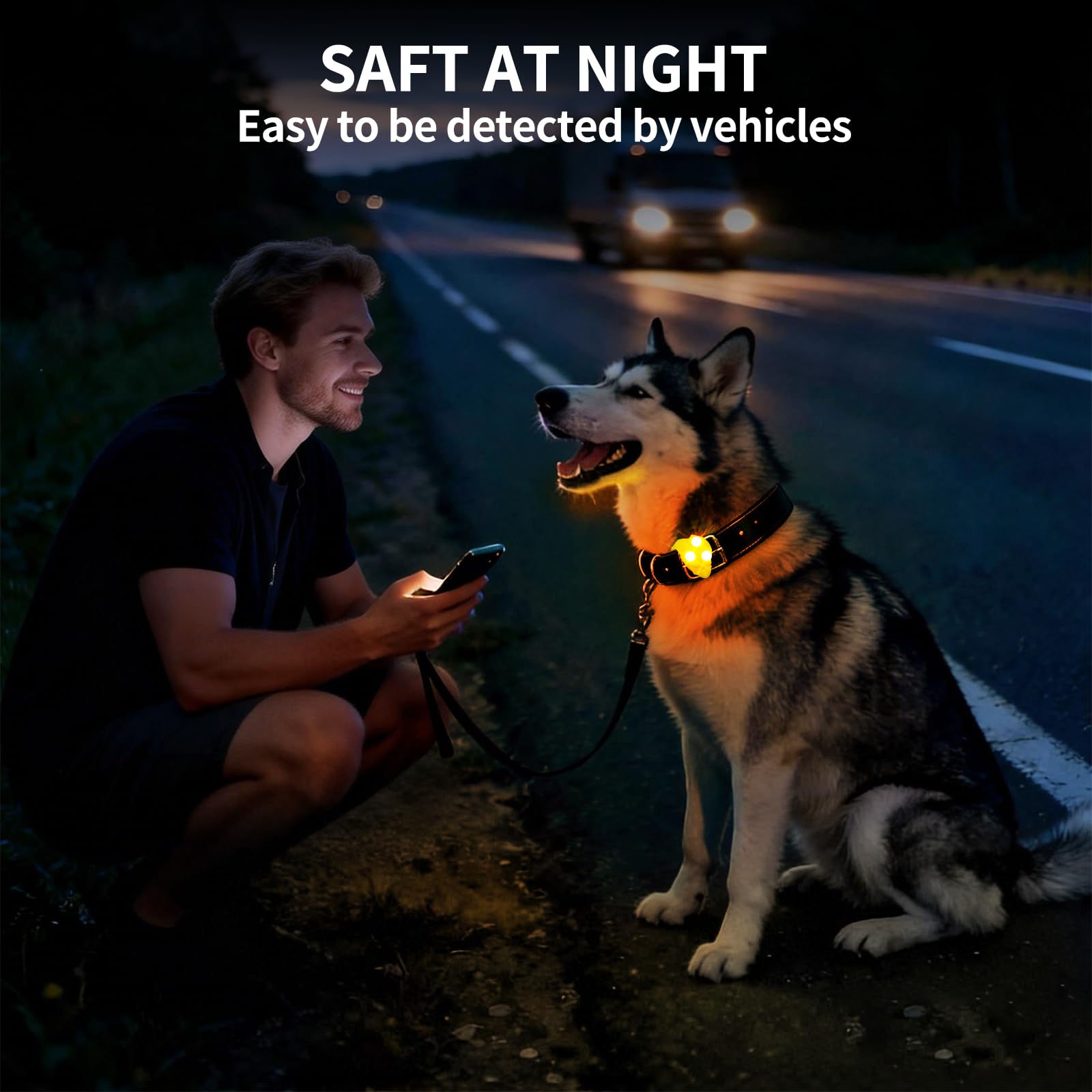 Waterproof LED Pet Safety Light with Collar Clip