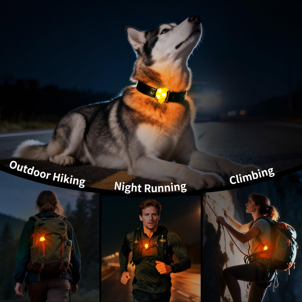 Waterproof LED Pet Safety Light with Collar Clip