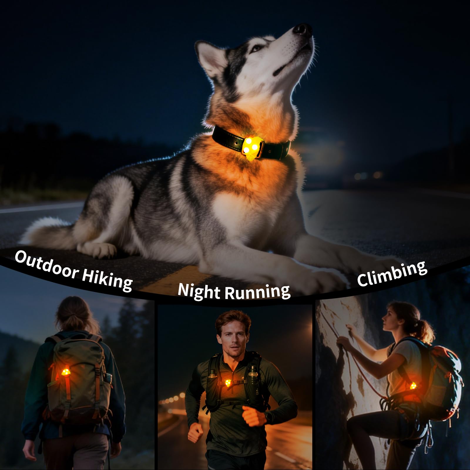 Waterproof LED Pet Safety Light with Collar Clip