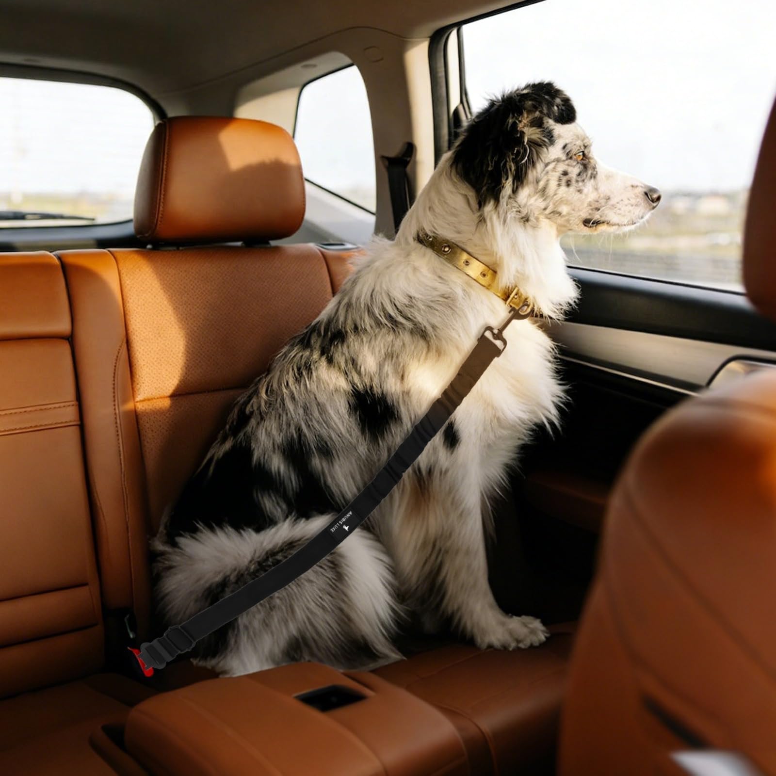 Retractable Dog Seat Belt with Elastic Safety Tether