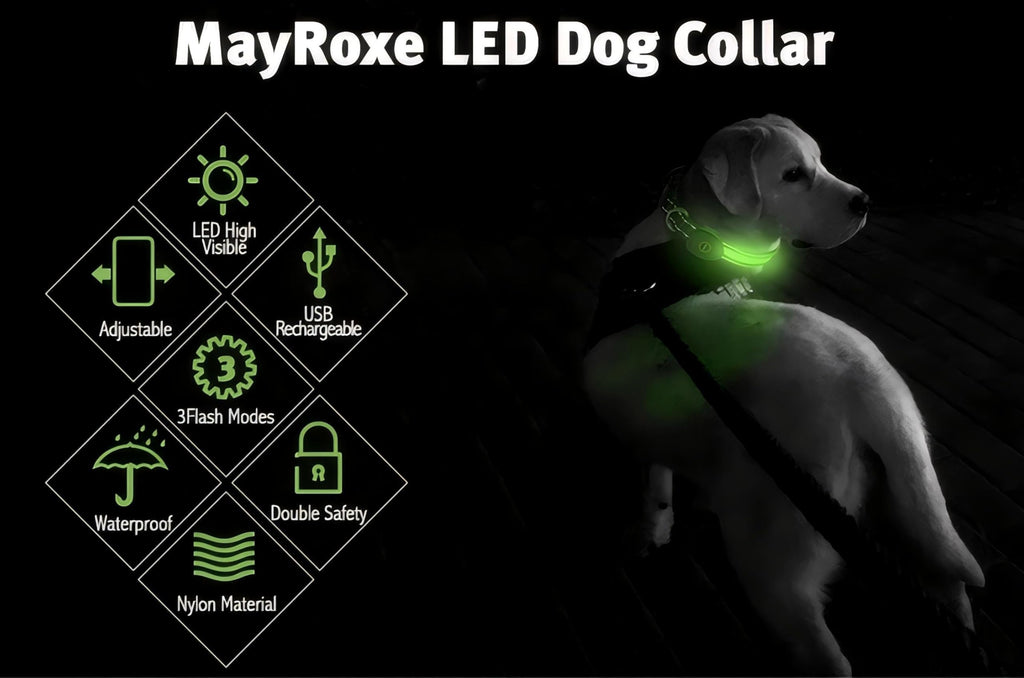Rechargeable LED Pet Collar with Adjustable Fit
