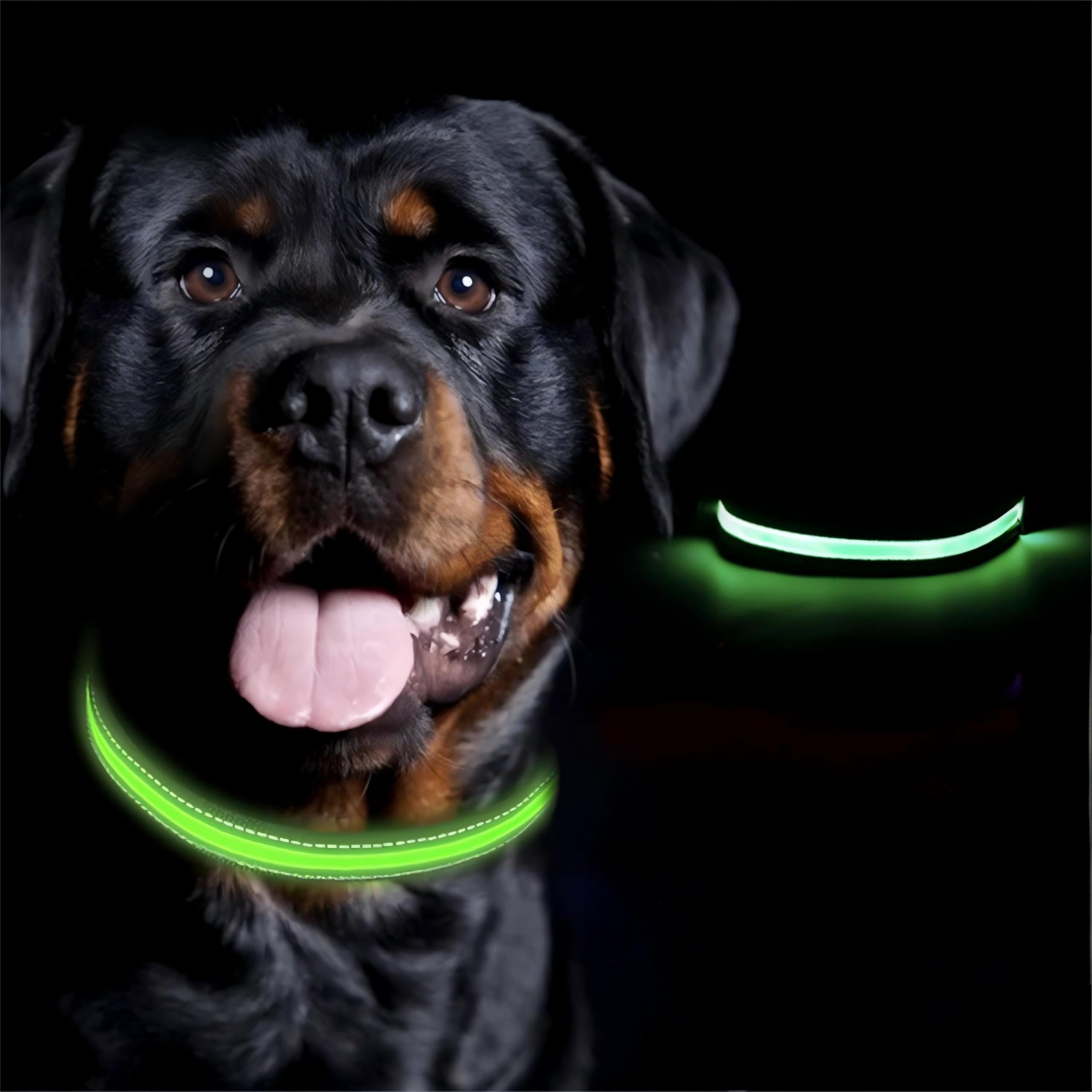 Rechargeable LED Pet Collar with Adjustable Fit