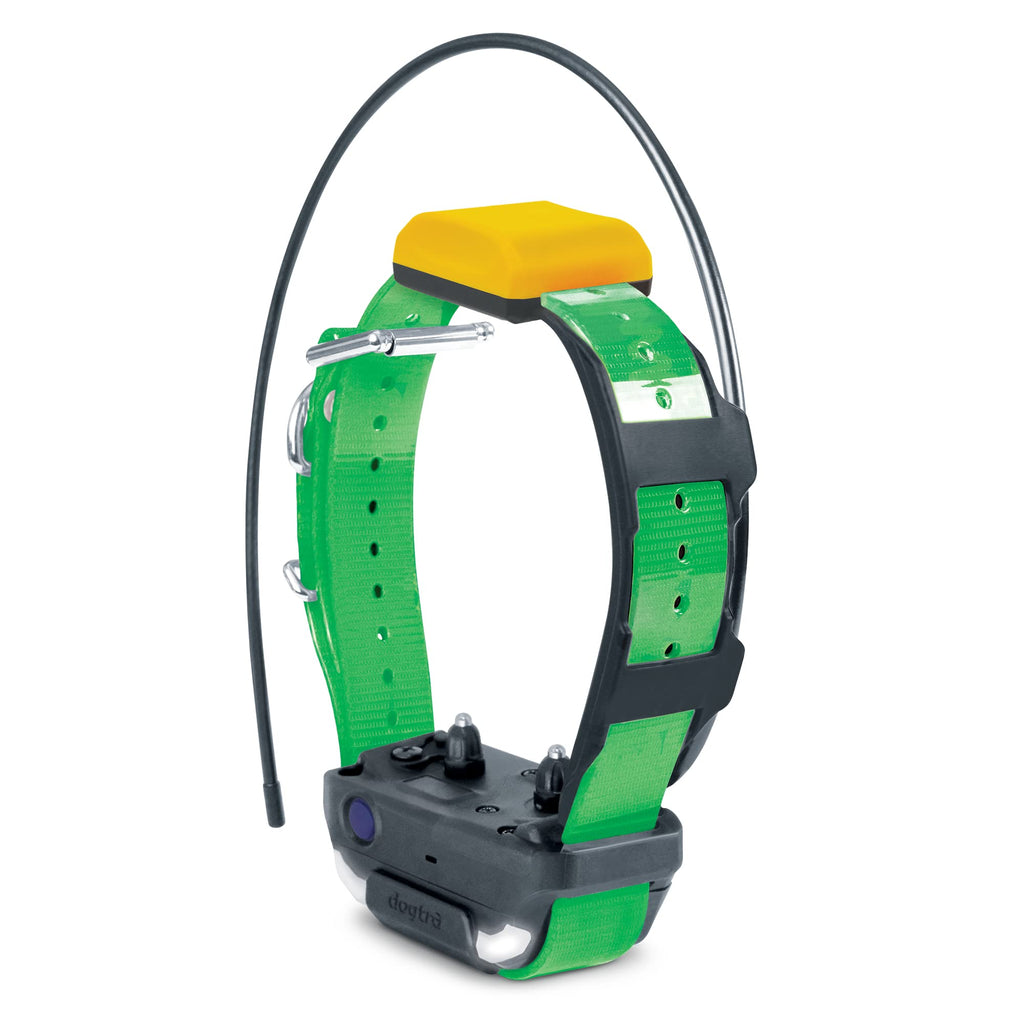 GPS Dog Tracker Collar with Real-Time App Tracking