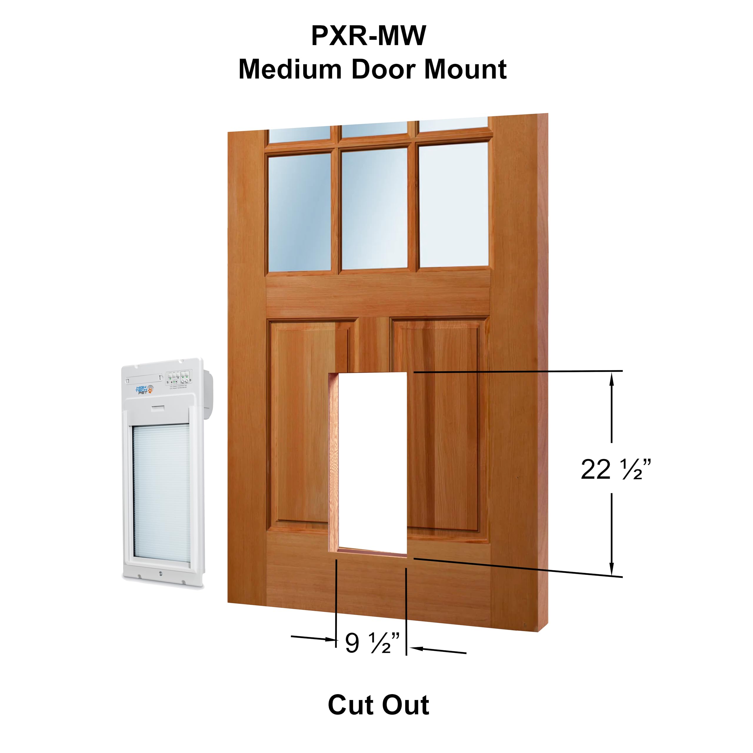 Smart Automatic Roll-Up Pet Door with App Control