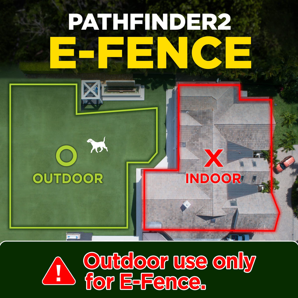 GPS Dog Tracker Collar with Real-Time App Tracking