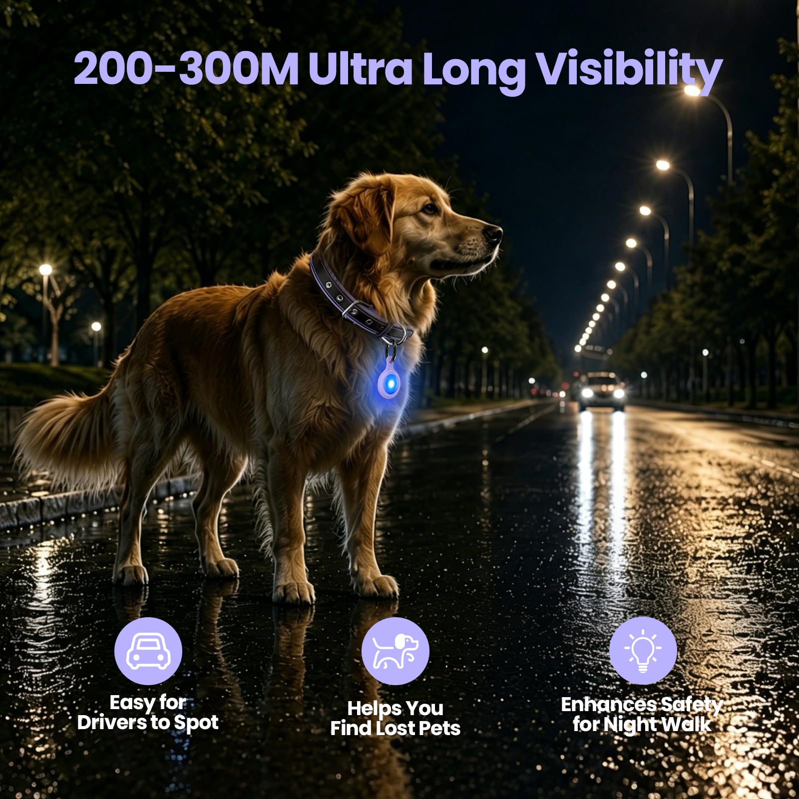 PawView LT0012