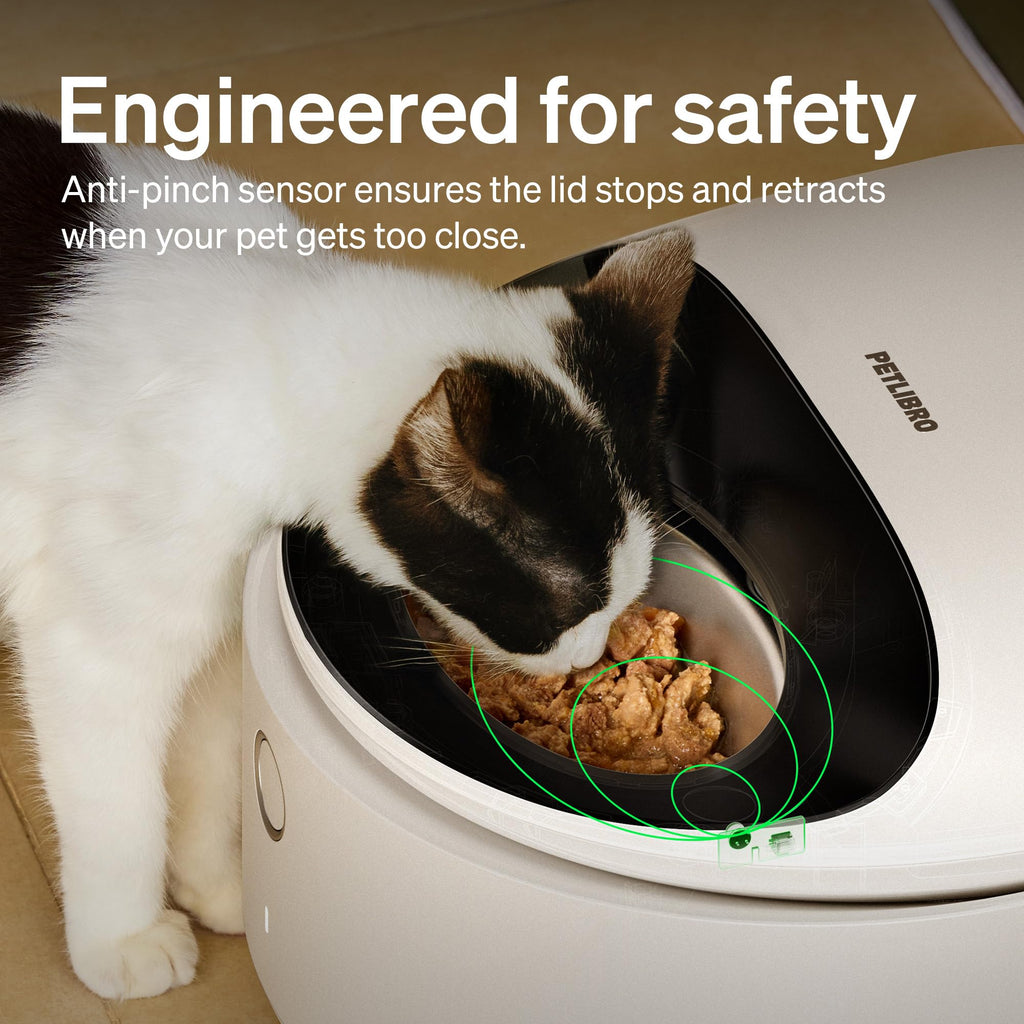 PETLIBRO Automatic Cat Feeder Wet Food with Stainless Steel Bowl