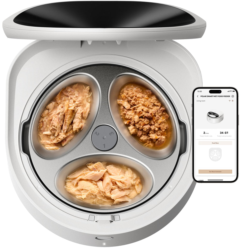 PETLIBRO Automatic Cat Feeder Wet Food with Stainless Steel Bowl