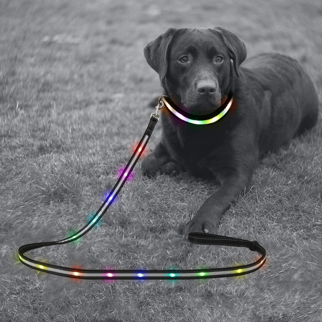 Rechargeable LED Dog Collar & 6FT Leash Set