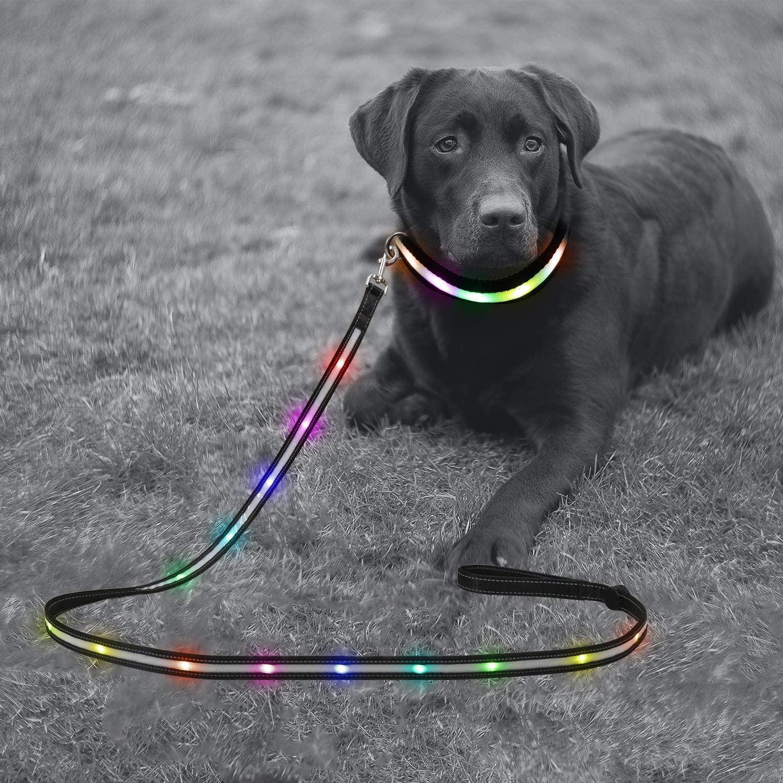 Rechargeable LED Dog Collar & 6FT Leash Set