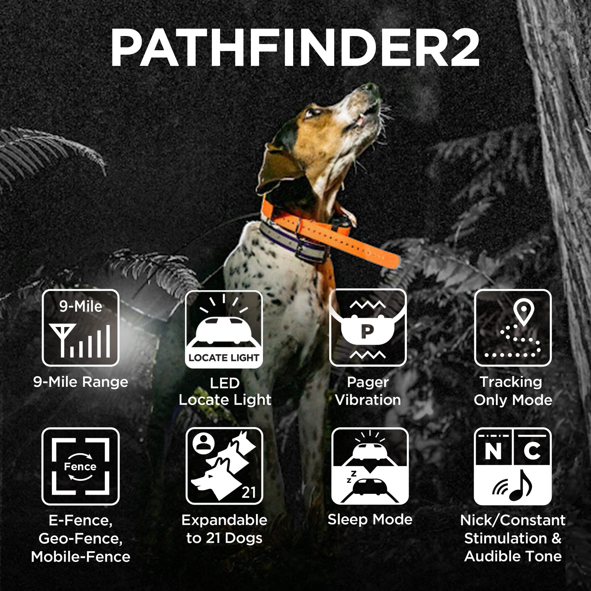 GPS Dog Tracker Collar with Real-Time App Tracking