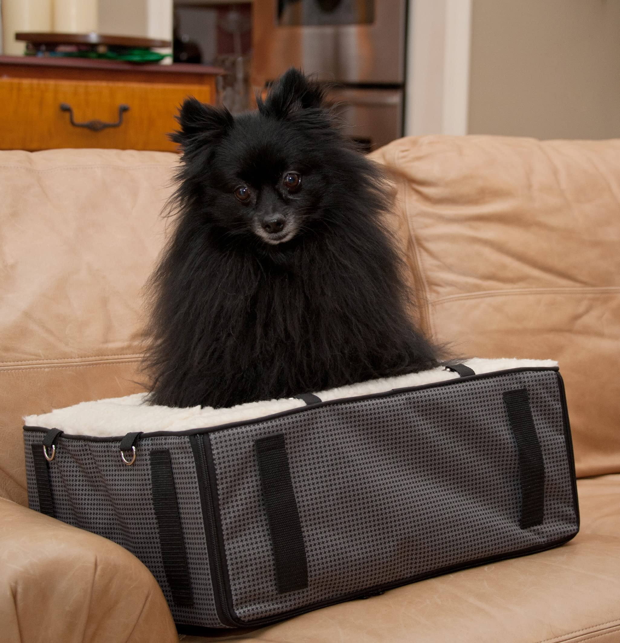 Pet Booster Car Seat with Comfort Pillow & Safety Tether