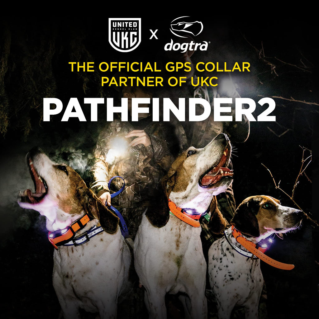 GPS Dog Tracker Collar with Real-Time App Tracking