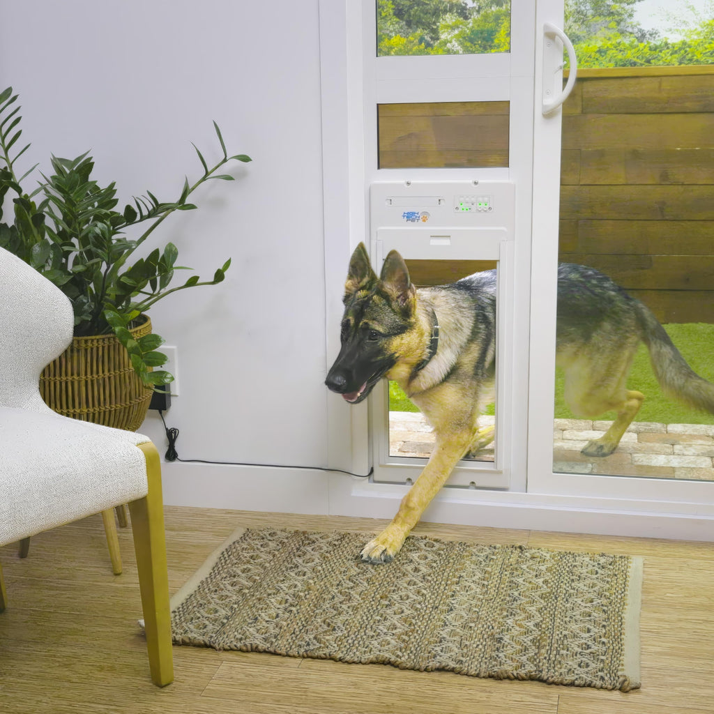 Smart Automatic Pet Door with App Control & Entry Timers