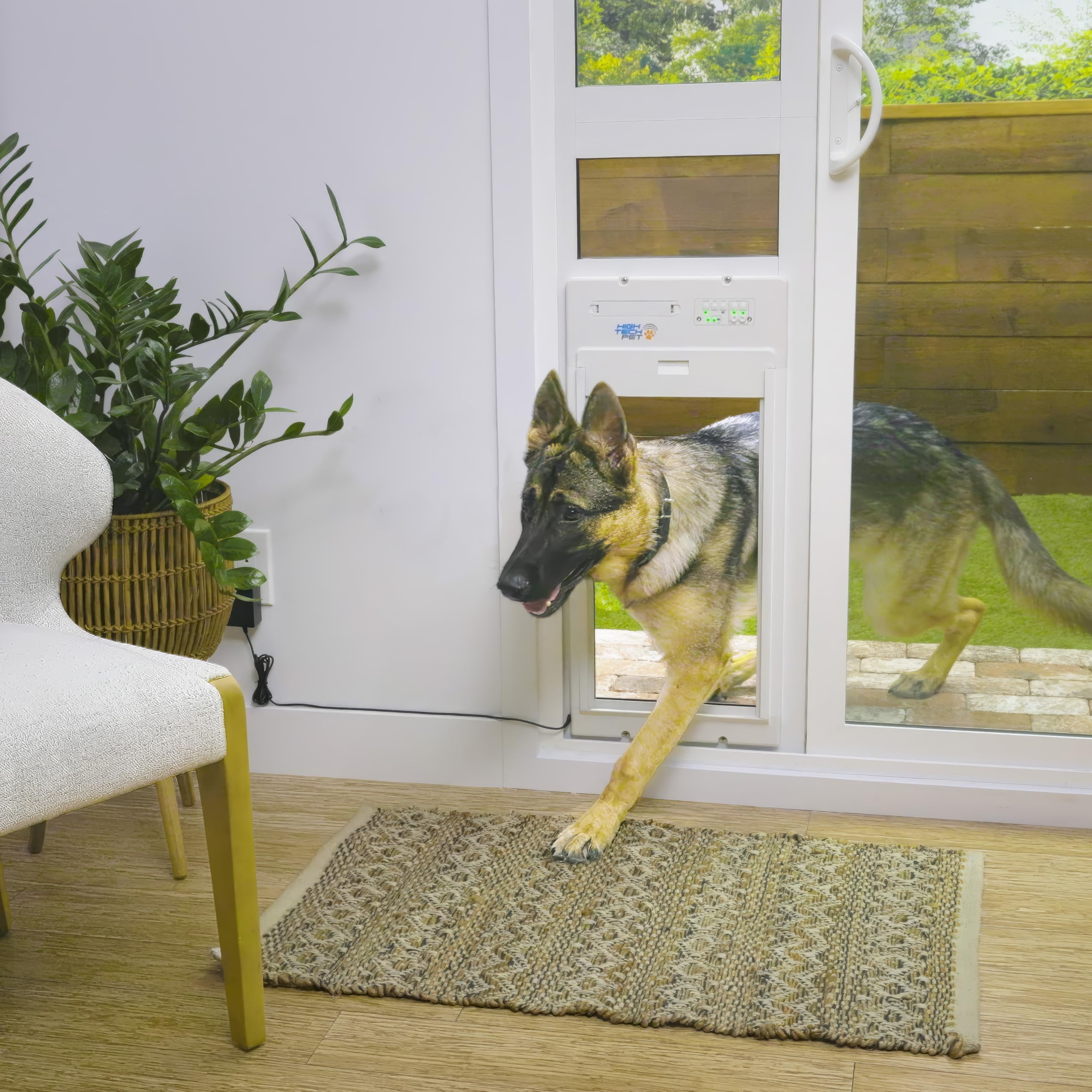 Smart Automatic Pet Door with App Control & Entry Timers